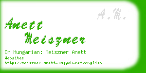 anett meiszner business card